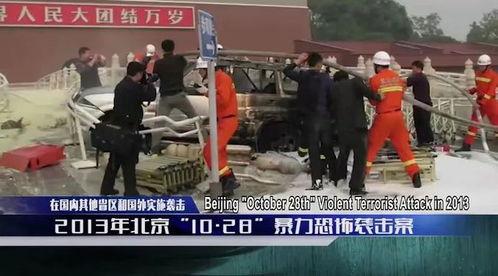 浮桥案审判长爆料视频播放,视频播放背后的真相与内幕  第3张